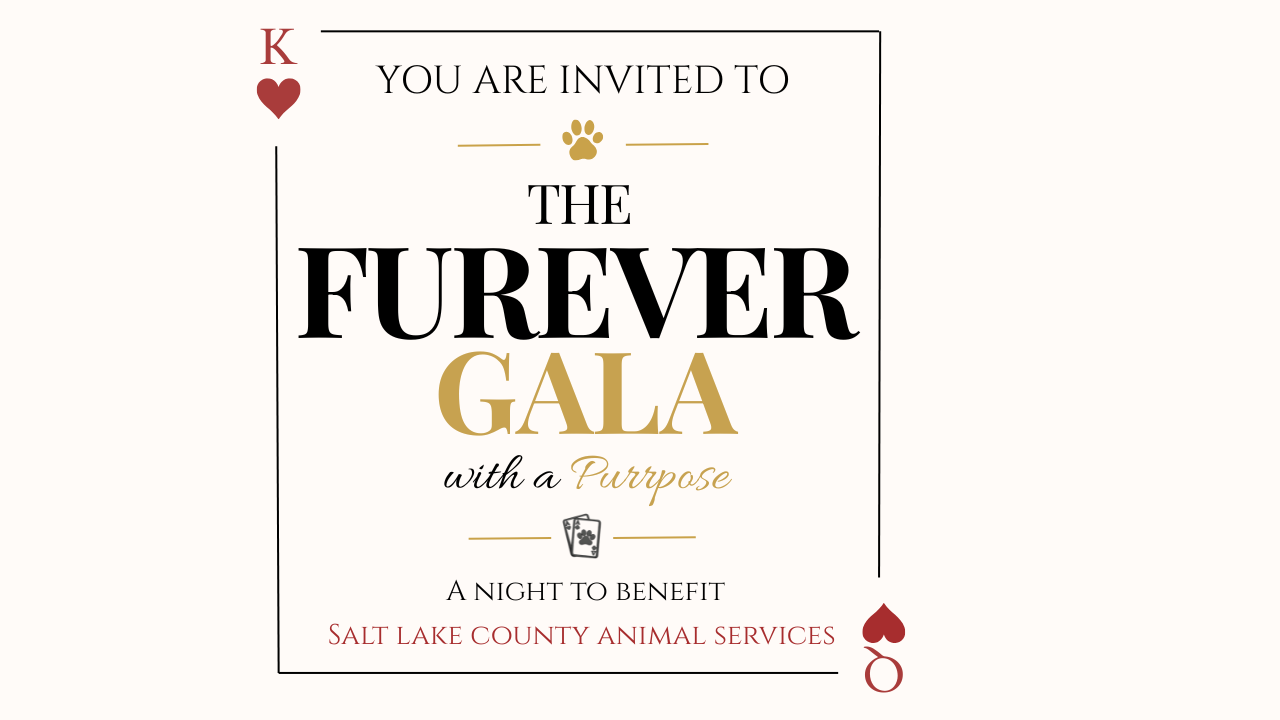 YOU ARE INVITED TO THE FUREVER (Wit