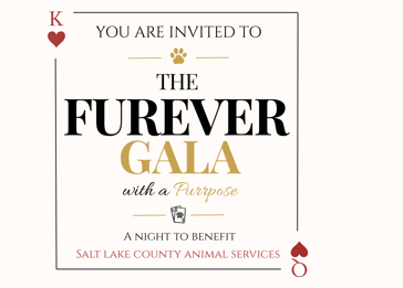 YOU ARE INVITED TO THE FUREVER (Wit