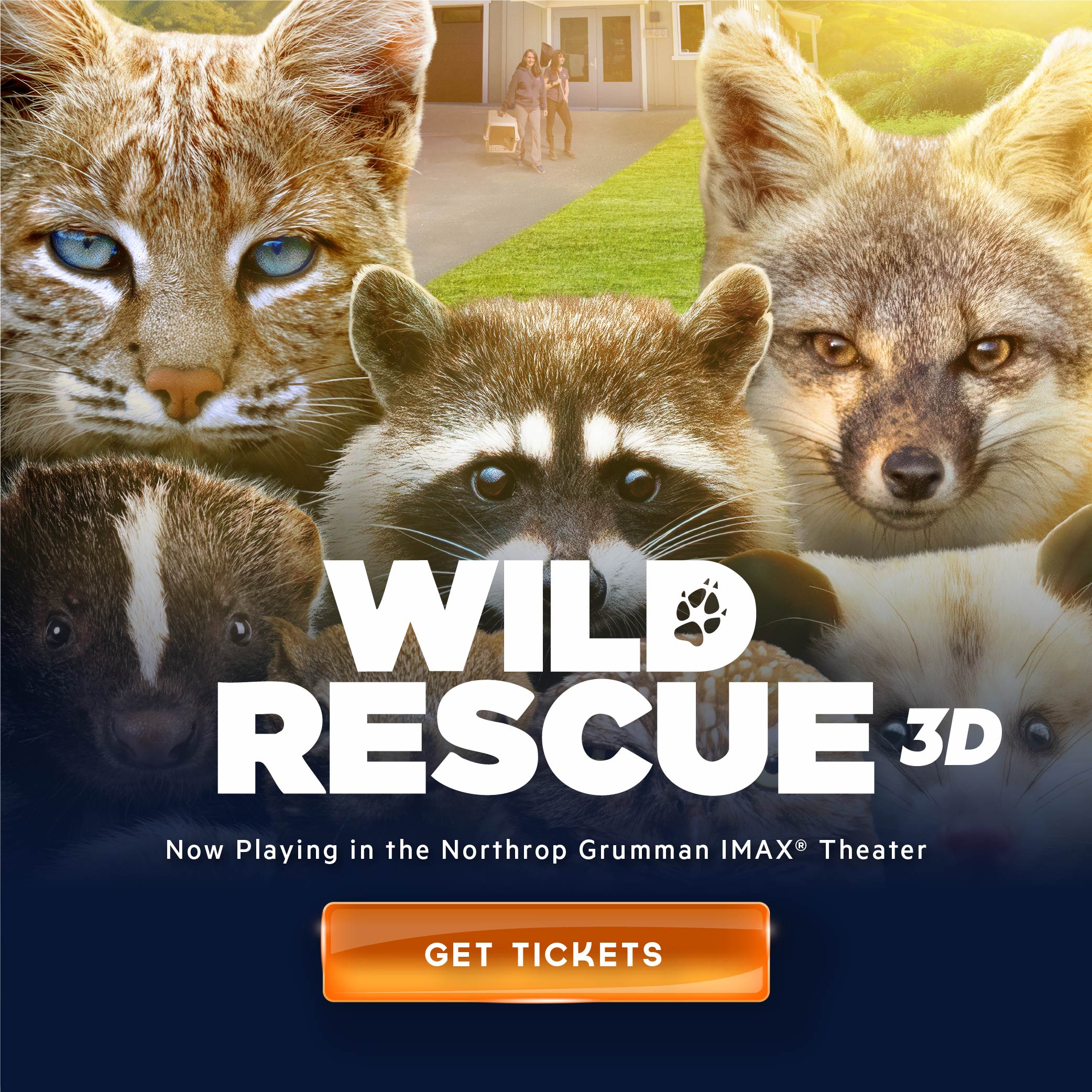 wiCD RESCUE JD Now Playing in the Northrop Grumman IMAX@ Theater GET TICKETS