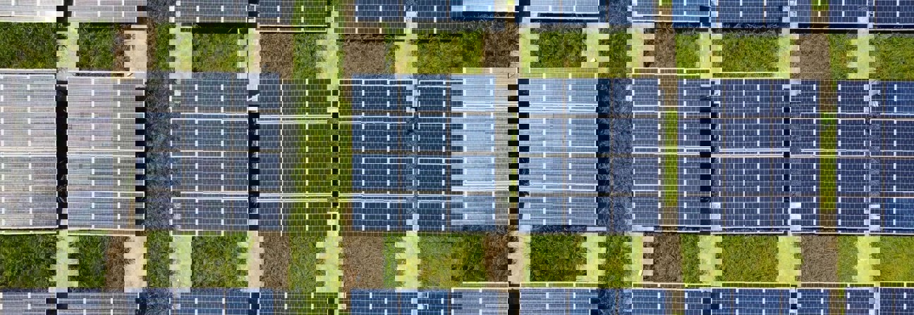 A group of solar panels