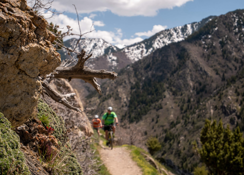 A group of people riding bikes on a trail in the mountains.