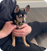 A person holding a dog.