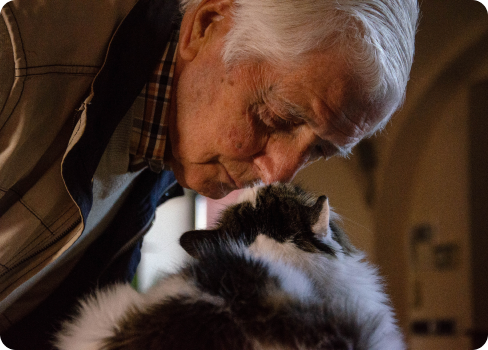 A person kissing a cat.