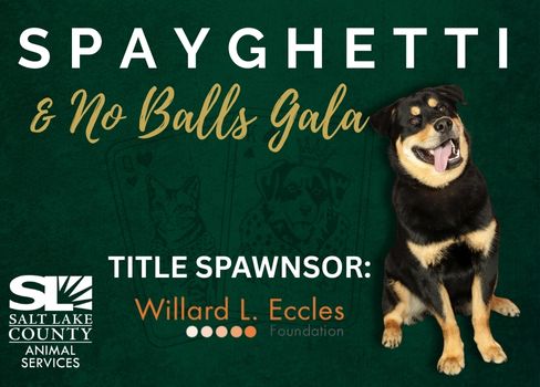 SPAY GHETTI TITLE SPAWNSOR: Willard L. Eccles SALT LAKE COUNTY ANIMAL SERVICES
