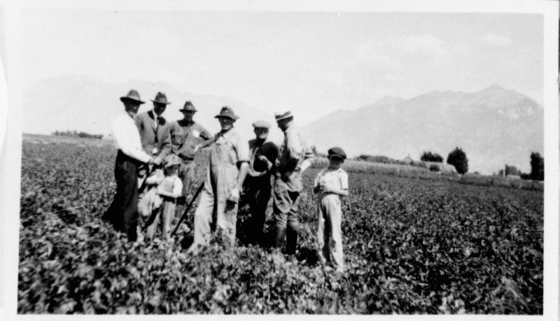 A group of people standing in a field.