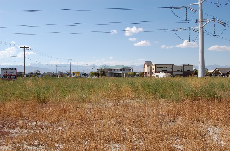 A field of grass and buildings.