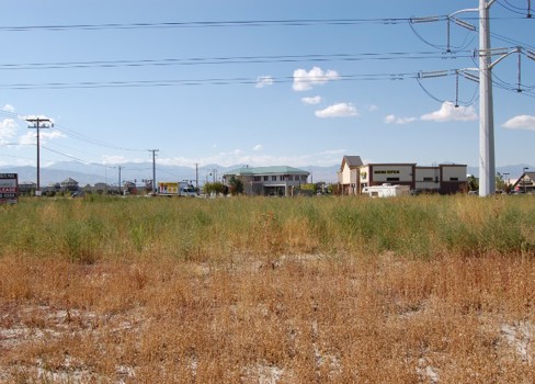 A field of grass and buildings.