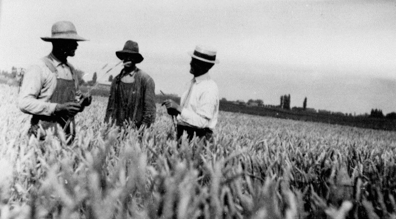 A group of men in a field.