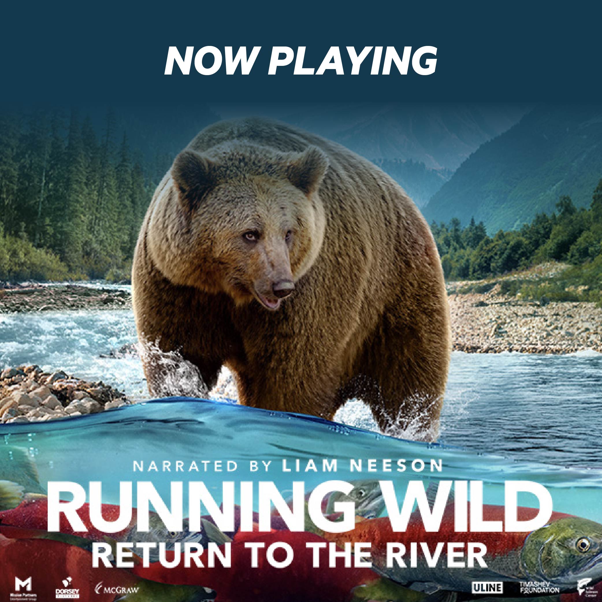NOW PLAYING NARRATED BY LIAM RUNNING?WnLD RETURN TO THE RIVER UUNE
