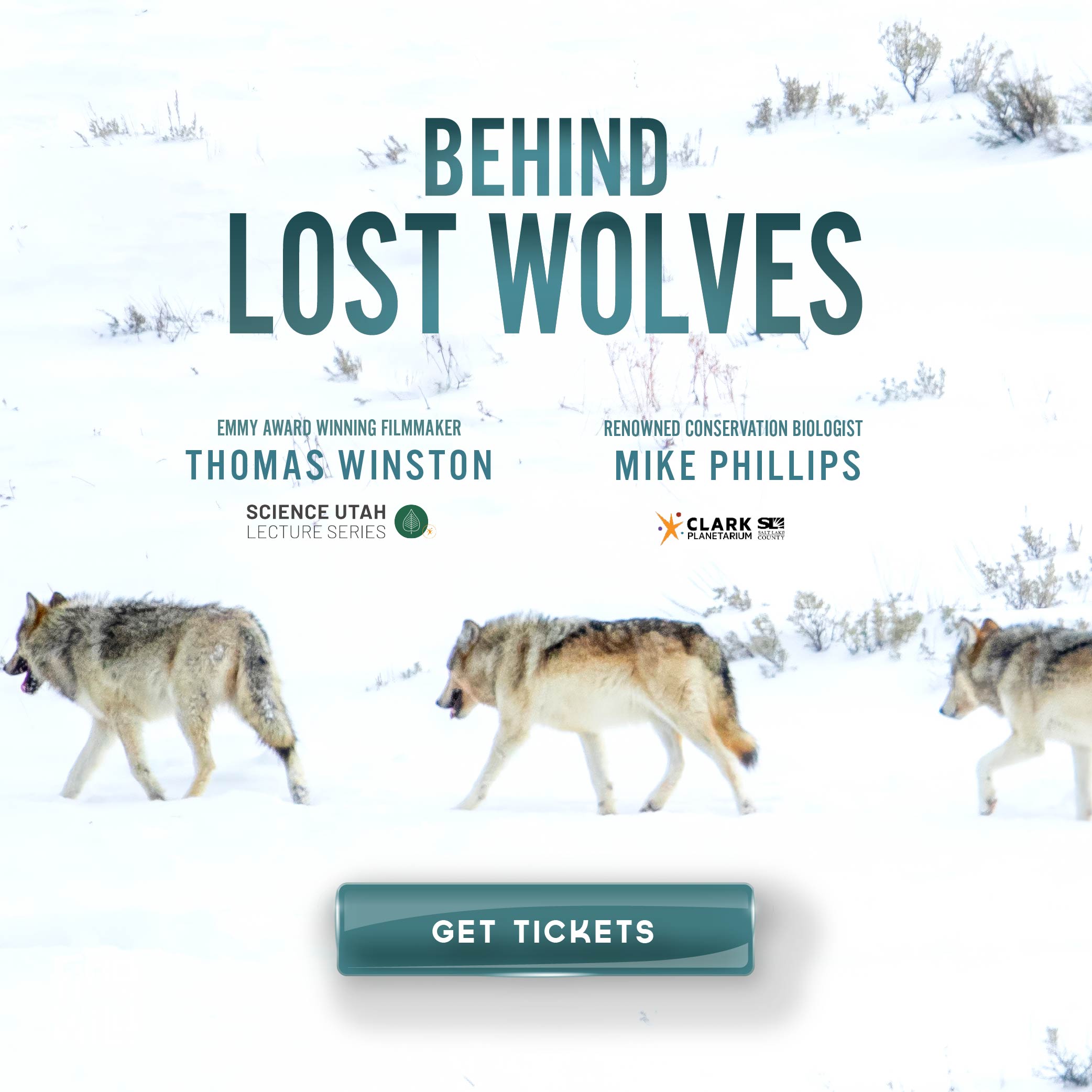 Poster for Behind Lost Wolves