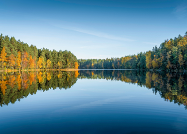 A body of water with trees around it.
