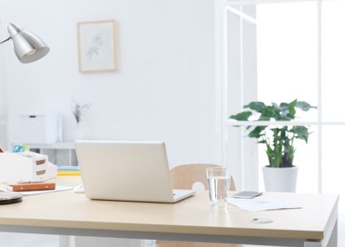 A desk with a laptop and a plant on it.