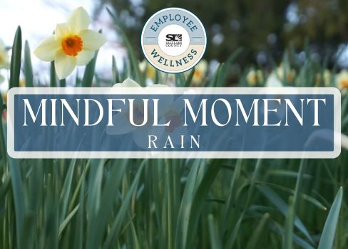 MINDFUL MOMENT RAIN