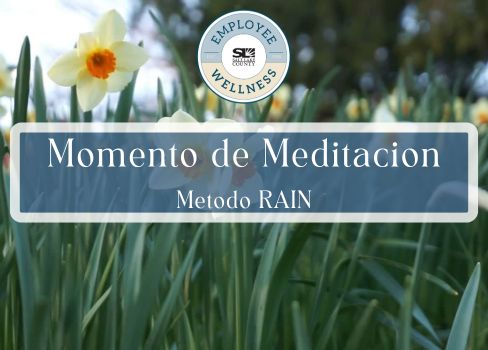 Momento de Meditacion Metodo RAIN
