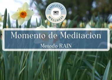 Momento de Meditacion Metodo RAIN