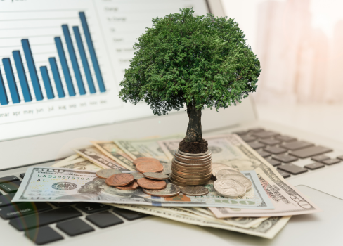 A tree growing on a stack of money.