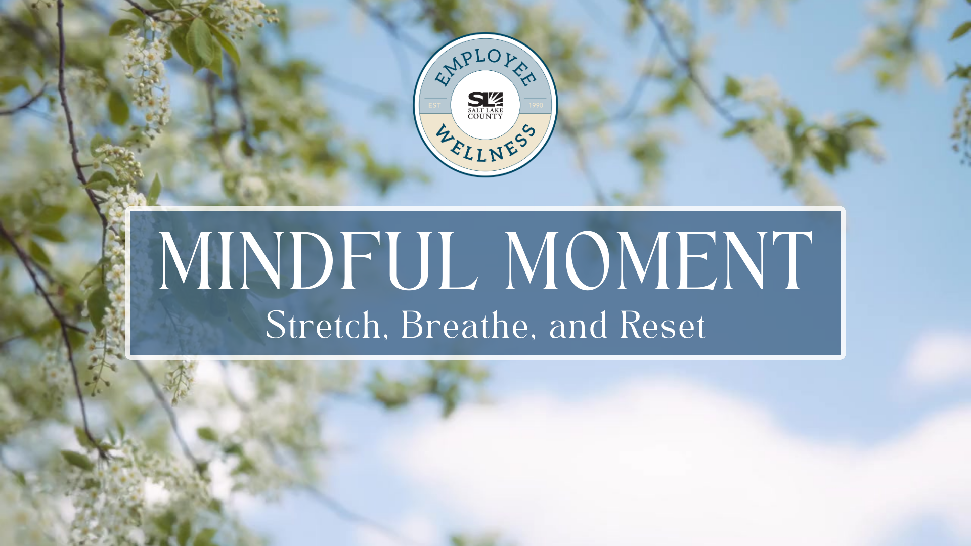 SAVV LAKE COUNTY MINDFUL MOMENT Stretch, Breathe, and Reset