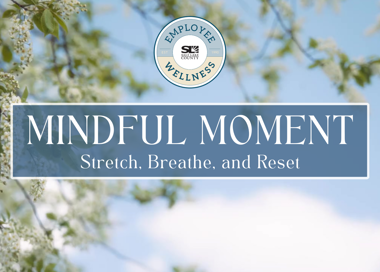SAVV LAKE COUNTY MINDFUL MOMENT Stretch, Breathe, and Reset