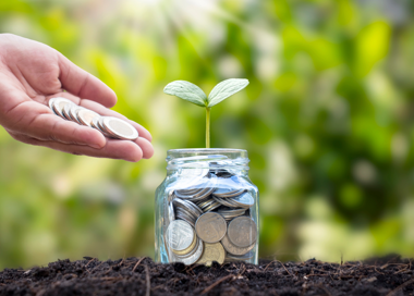A hand holding a small plant in a jar with coins.