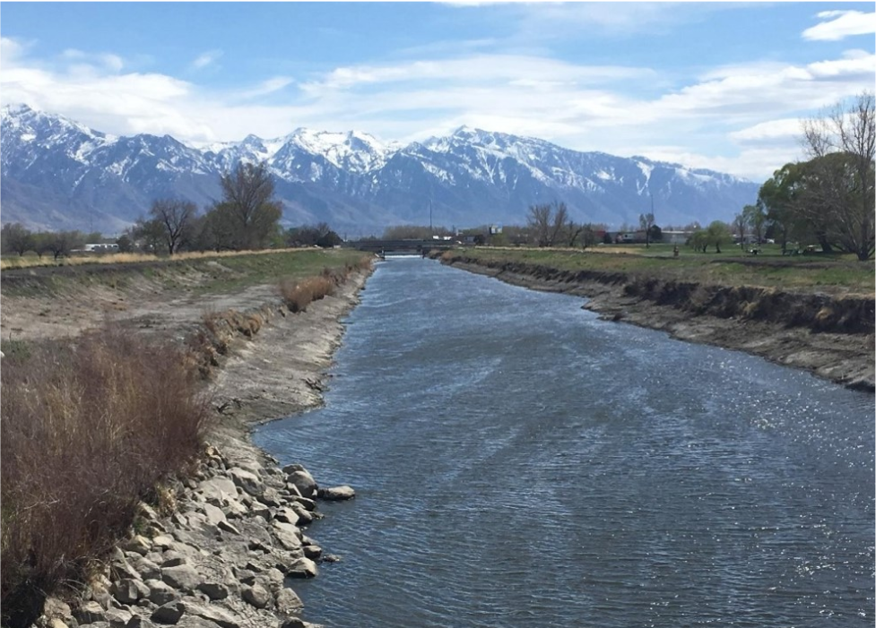 A river with grass and trees by it and mountains in the background.