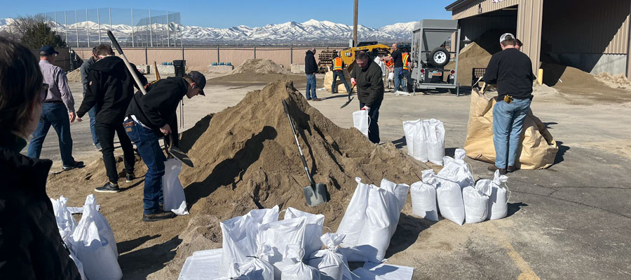 A group of people digging in the dirt.