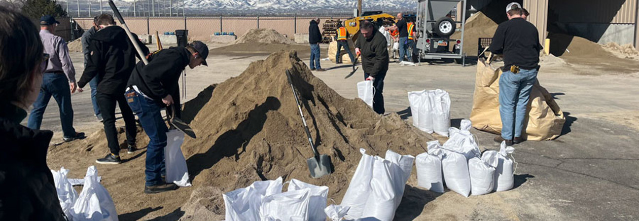 A group of people digging in the dirt.