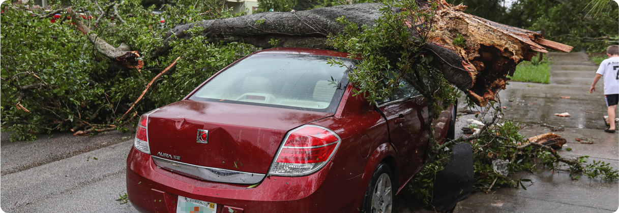 A car that has been in a ditch.