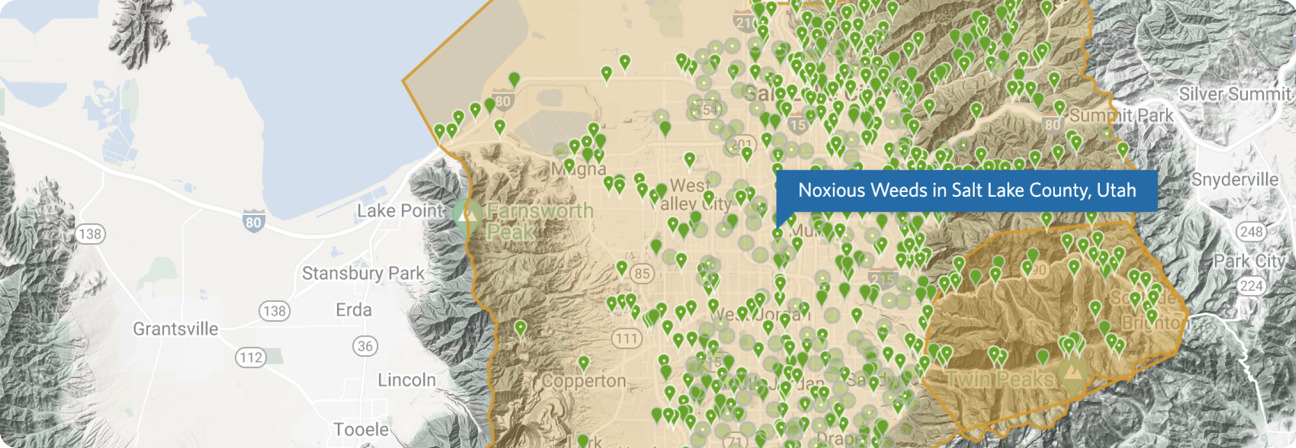Lake Poiritt• WesÅ) Stansbury Park Grantsville @ Erda 36 Lincoln Tooele Noxious W eeds in Salt Lake County, Utah e•nyderville 248