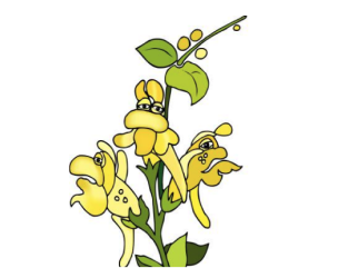 A group of butterflies.