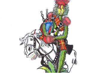 A colorful insect with wings.