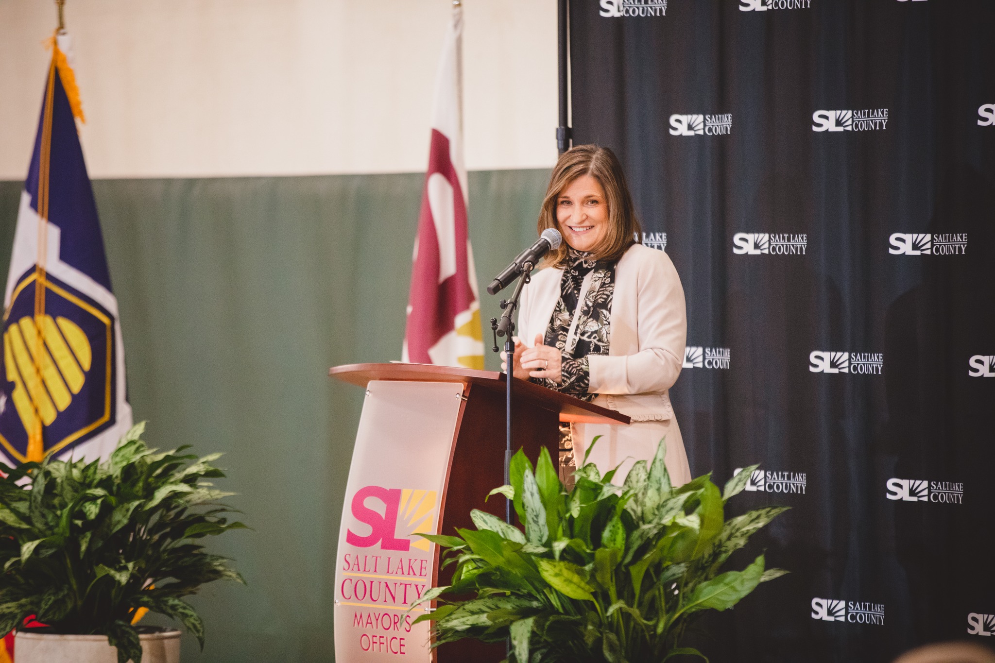 V SALILAKE COIN T Y .3 COI'\TY SALT LAKE COUNTY