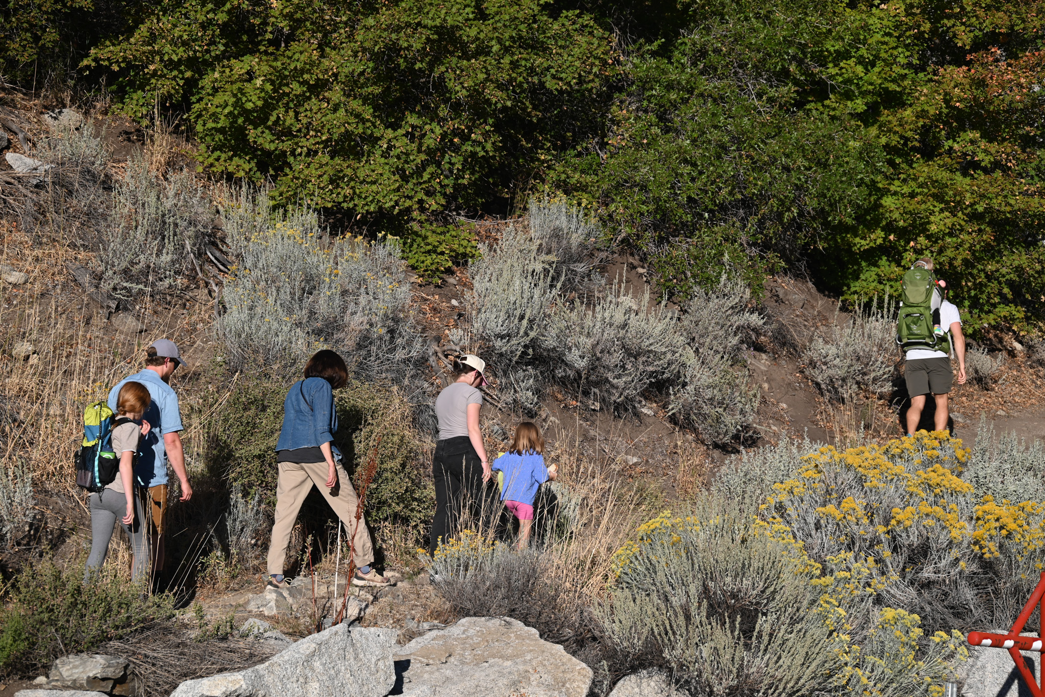A group of people standing on a rock.