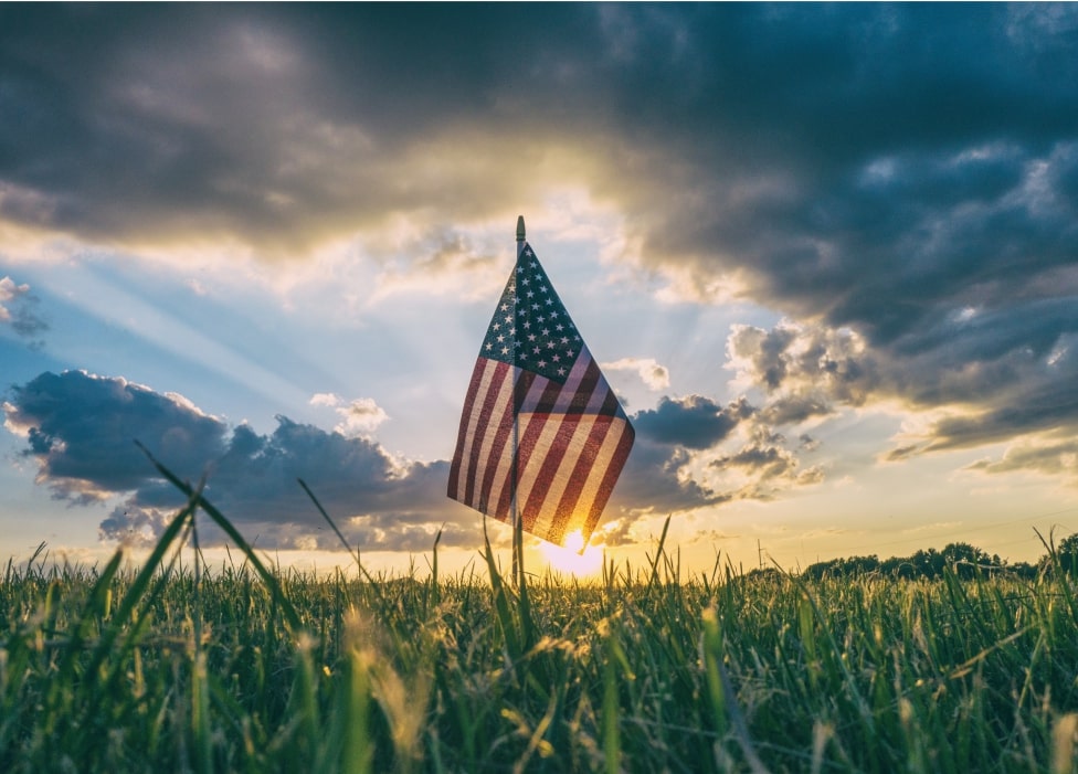 A flag in a field.