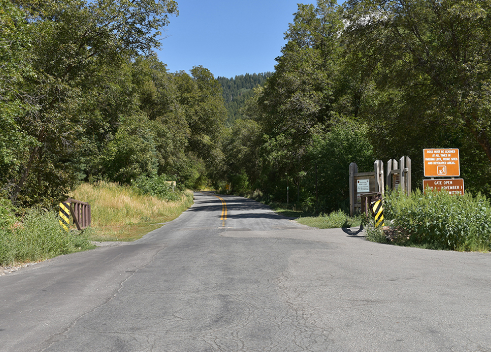 A road with trees on the side.