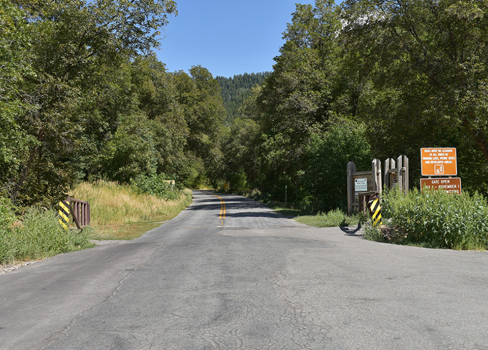 A road with trees on the side.
