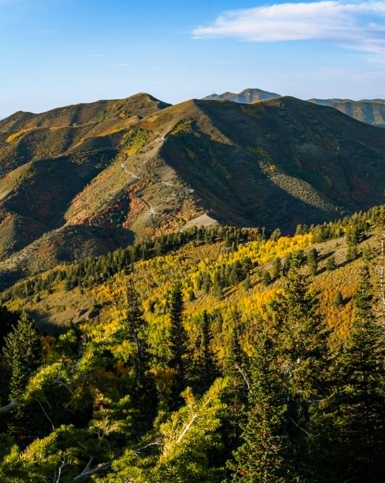A landscape with trees and hills.