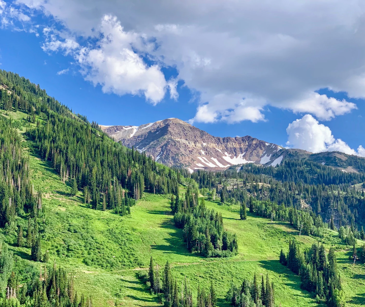 A landscape with trees and mountains.