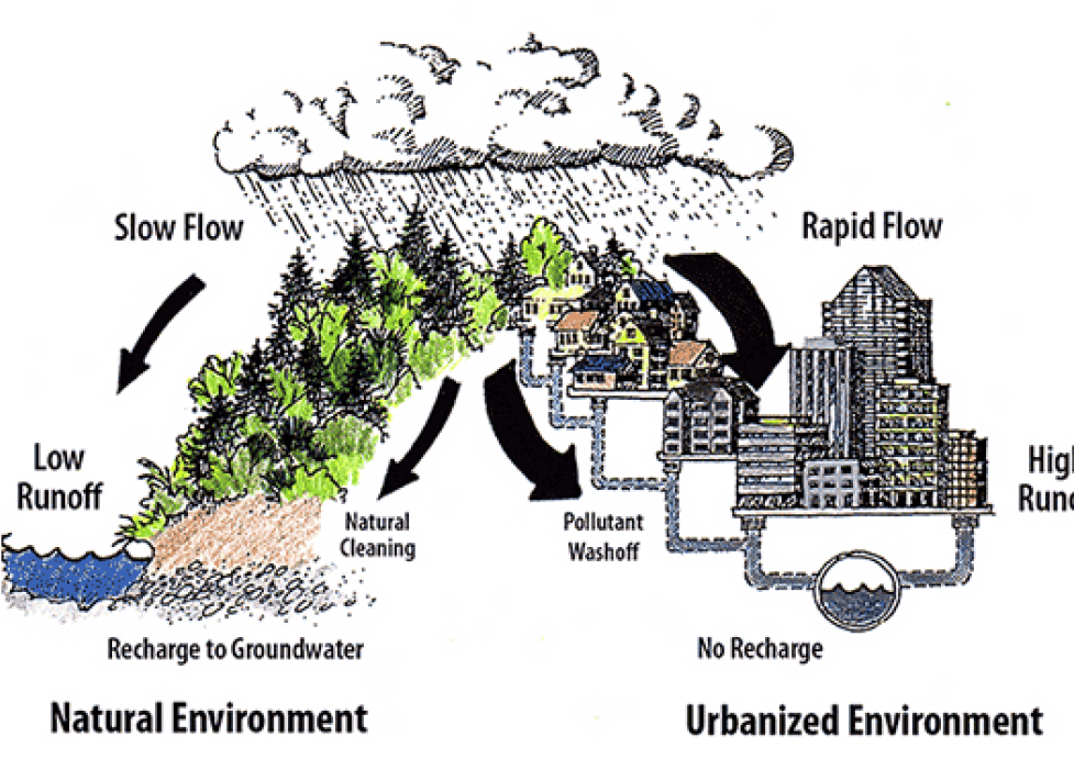 Slow Flow Low Runoff Rapid Flow No Recharge Higl Runt Natural Cleaning Recharge to Groundwater Natural Environment Pollutant Wash off Urbanized Environment