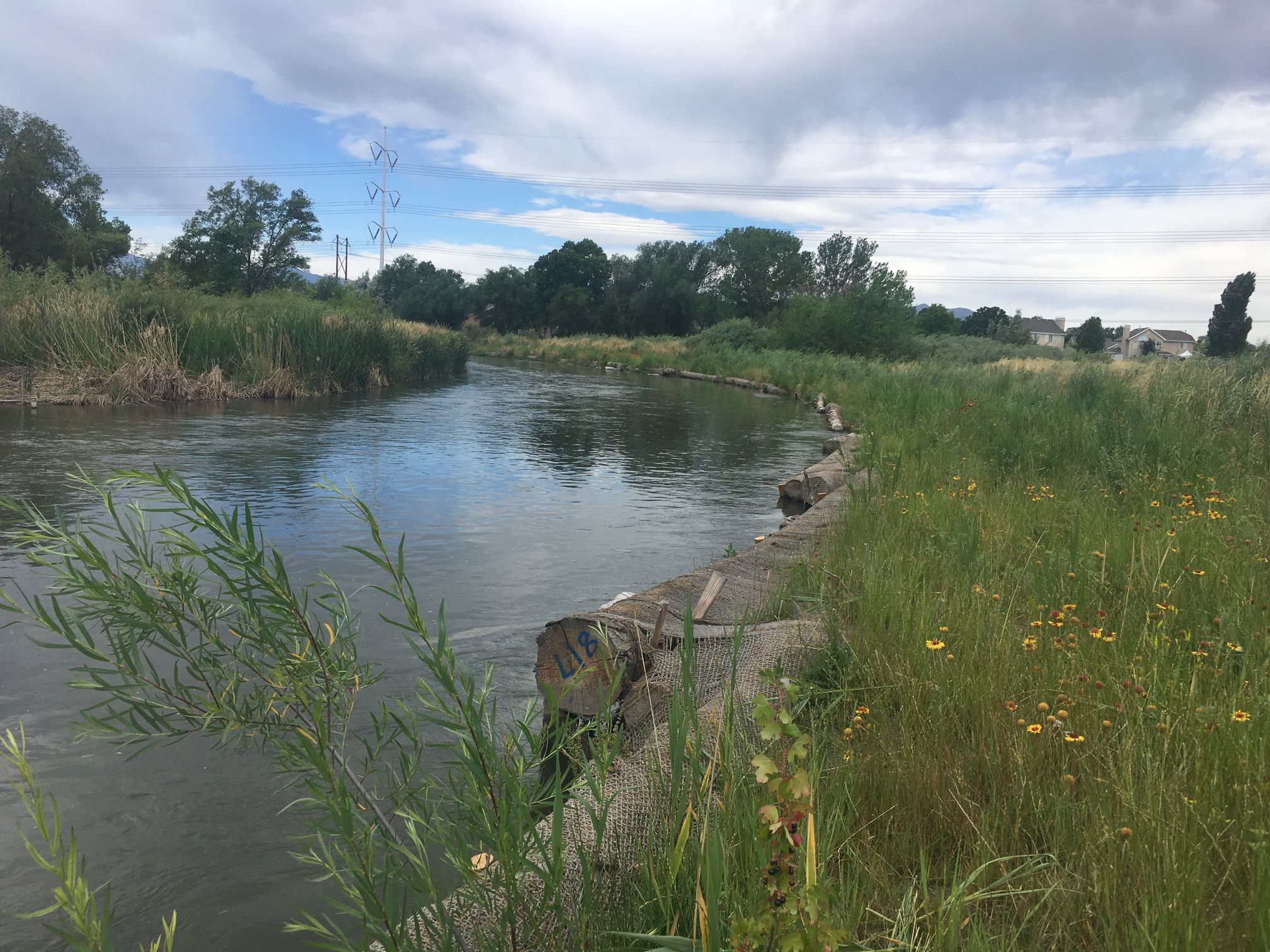 A wooden dock over a river.