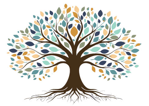 A close up of a flower.