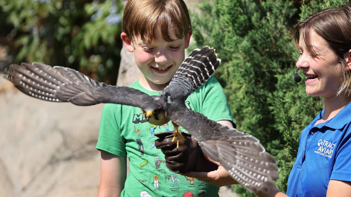 A person holding a bird.