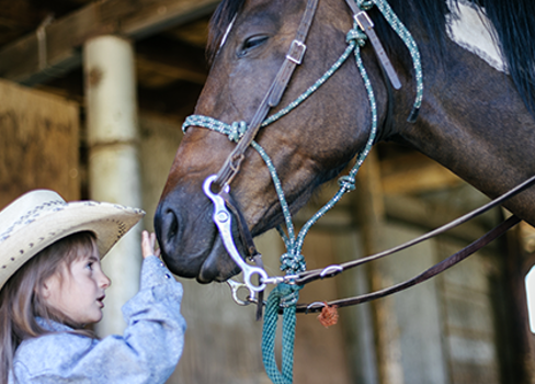A girl in a blue shirt and hat petting a brown horse.