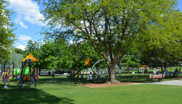 Big Bear Park Playground