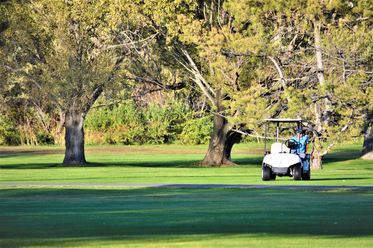 A golf cart on a golf course.