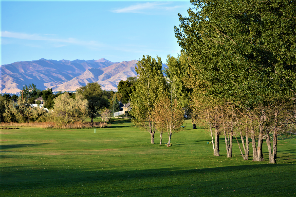 A grassy field with trees and mountains in the background.