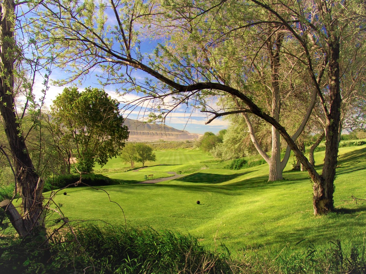 A golf course with green trees.