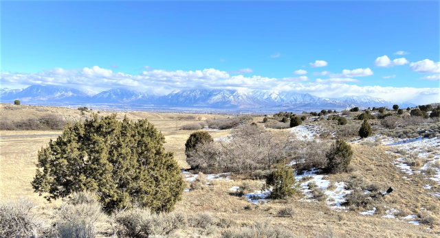 Butterfield-trailhead-park.png