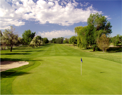 A golf course with a flag.